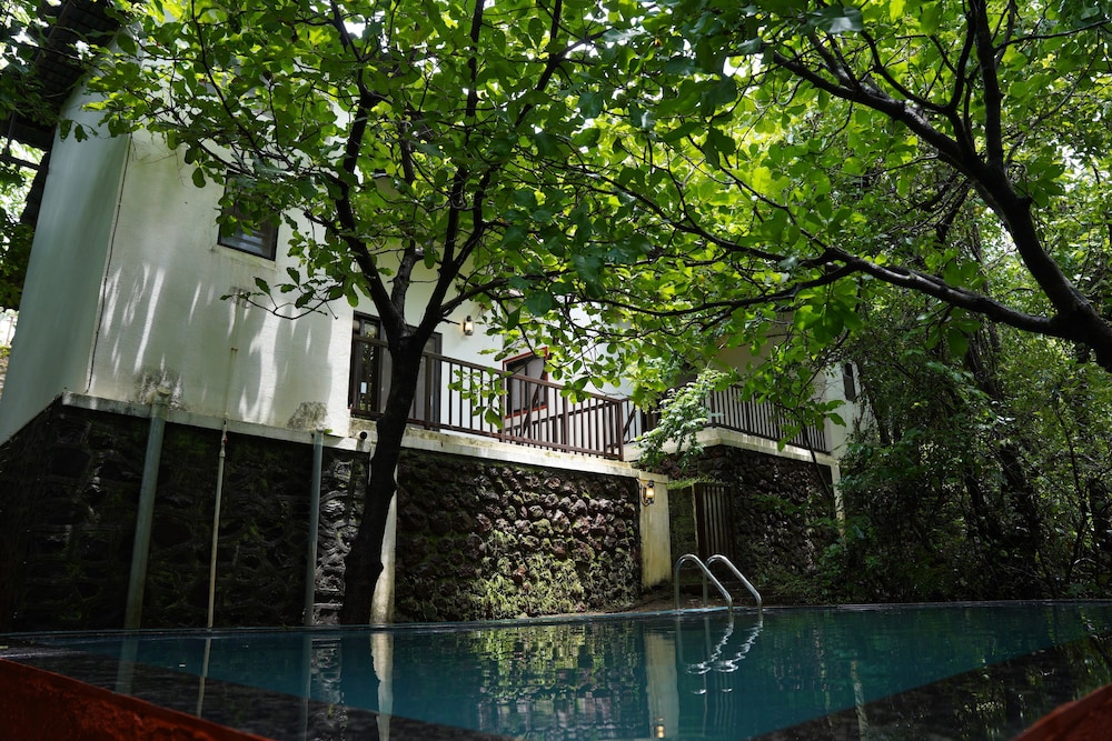 Forest Escapes Koyna in Patan, India