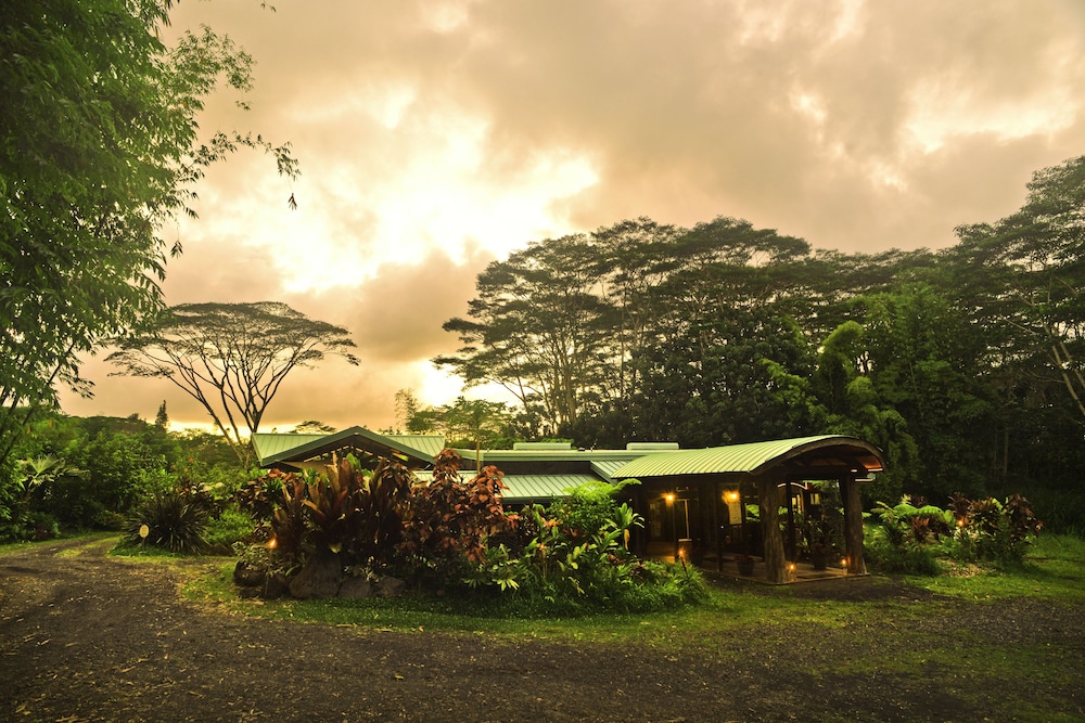 Hawaiian Sanctuary - photo 34
