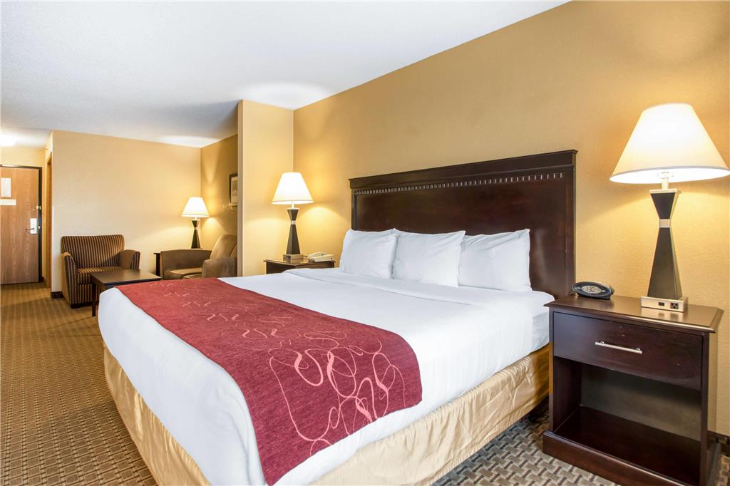 Comfort Suites Wisconsin Dells Area - photo 18