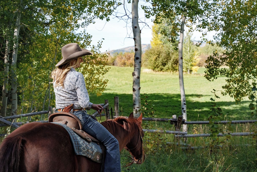 The Lodge at Bronze Buffalo Ranch - photo 53