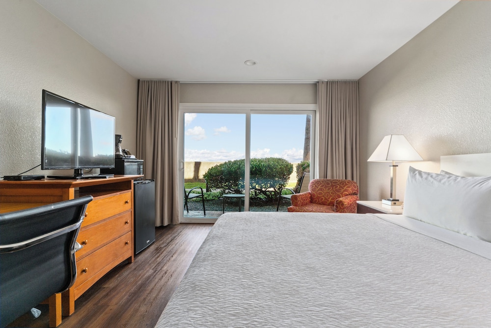 Vagabond Inn Executive San Francisco Airport - photo 24