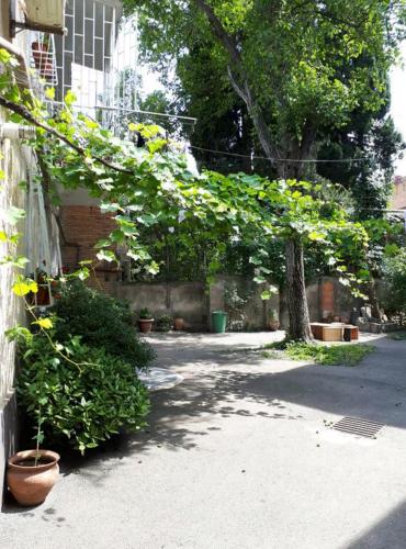 Karin House