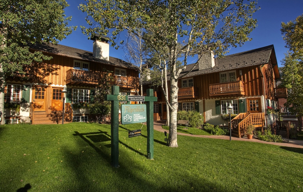 Alpenblick by Frias Properties of Aspen - photo 42