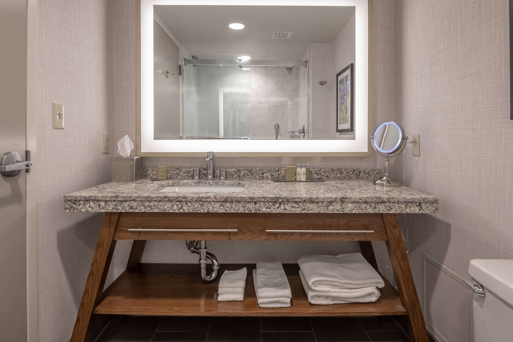 DoubleTree by Hilton Dallas Farmers Branch - photo 18