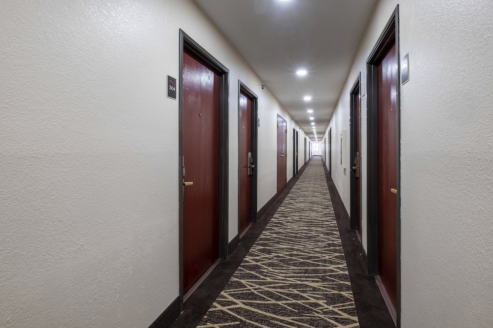 Red Roof Inn Norfolk Portsmouth - photo 23