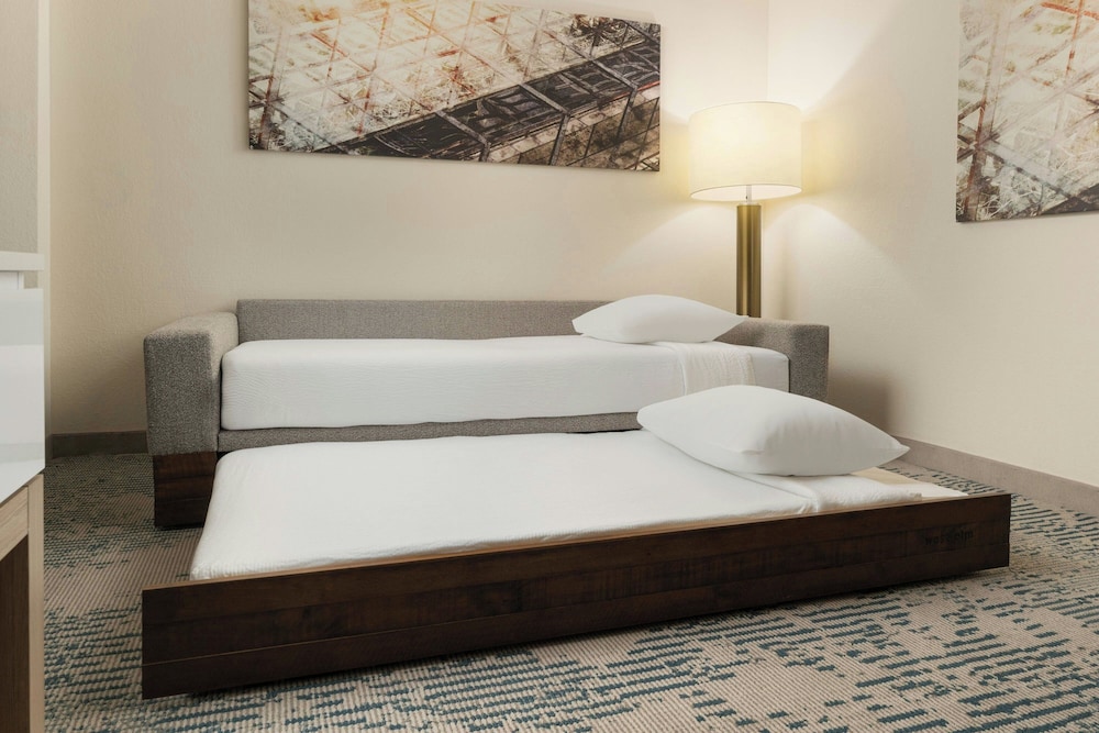 SpringHill Suites by Marriott Tampa Westshore Airport - photo 13