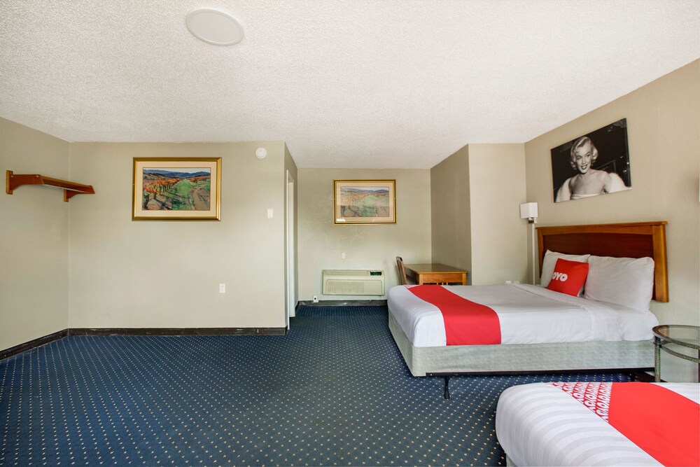 OYO Inn Dallas South - photo 29