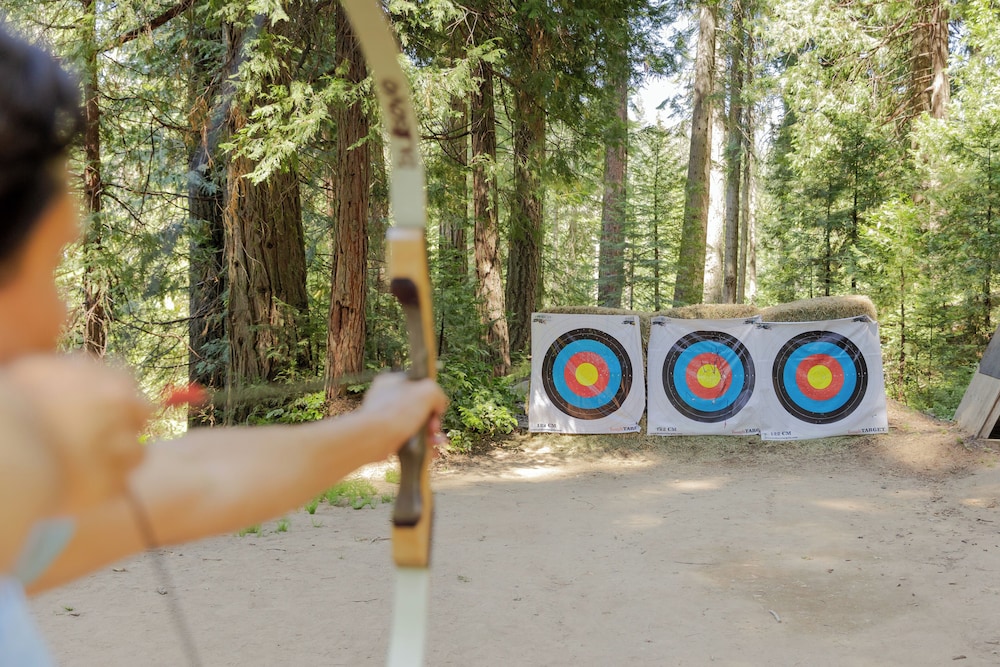 Tenaya at Yosemite - photo 98
