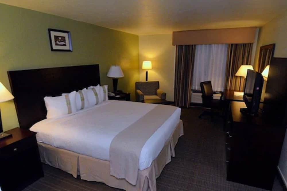 Holiday Inn Fort Myers Downtown Area by IHG - photo 10