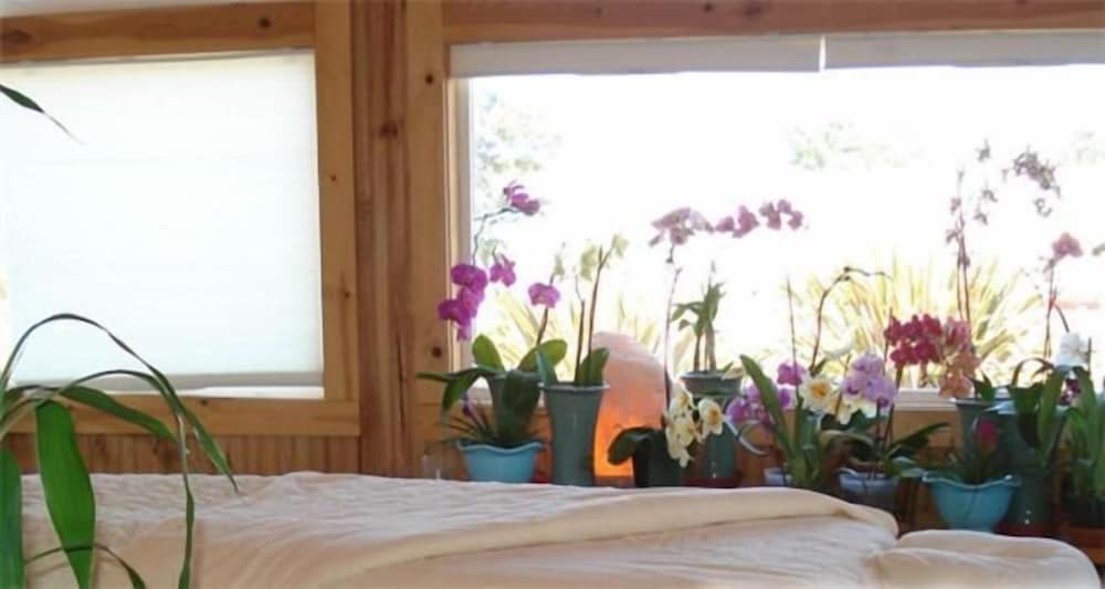 Coast Inn and Spa Fort Bragg - photo 16