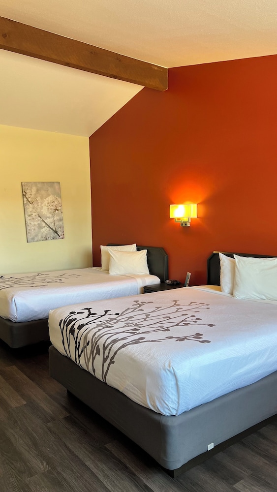 Black Canyon Motel - photo 26