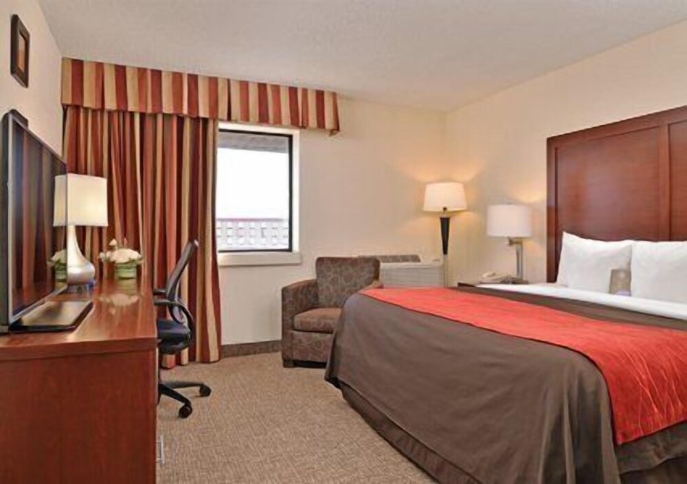 Comfort Inn & Suites Denver Northfield - photo 6