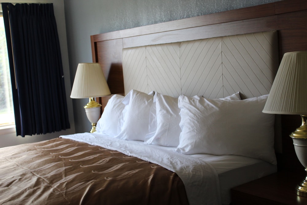 Quality Inn On The Lake Clarksville Boydton - photo 47