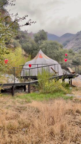 Paradise Ranch Inn Mindful Tent - photo 15