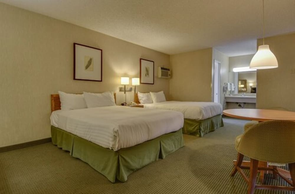 Vagabond Inn Los Angeles at USC - photo 5