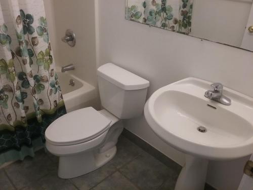 Apollo Resort Motel - photo 46