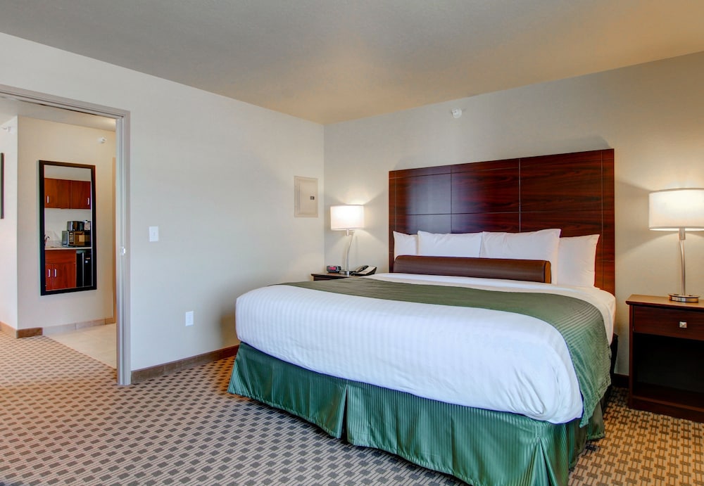 Cobblestone Inn & Suites Steele - photo 7