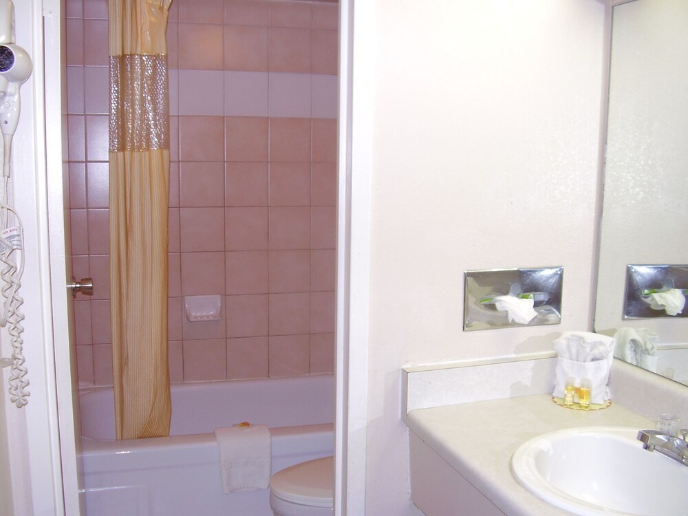 Vacation Inn Phoenix - photo 27