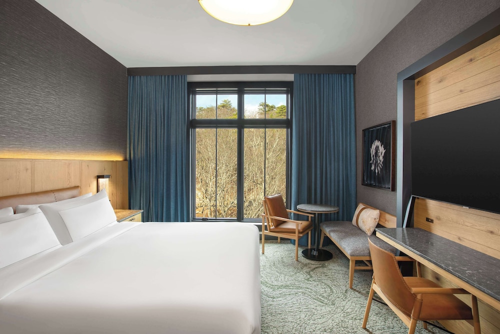 Cloudland at McLemore Resort Lookout Mountain Curio by Hilton - photo 36