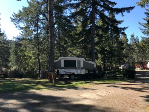 Mercer Lake Resort and Beach - photo 39