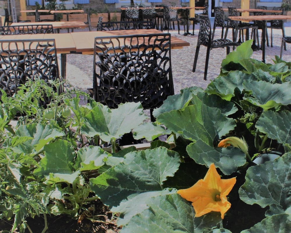 Hôtel Restaurant Les Saladelles in Arles, France