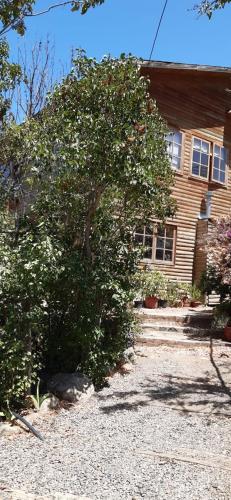 La Milagrera Olmué in Unknown City, Chile