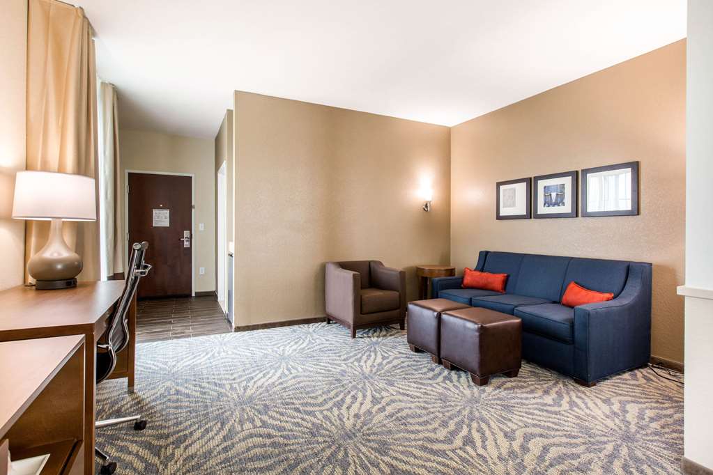 Comfort Suites South Austin - photo 18
