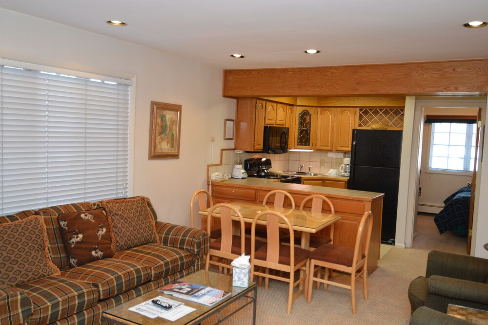 Alpenblick by Frias Properties of Aspen - photo 19