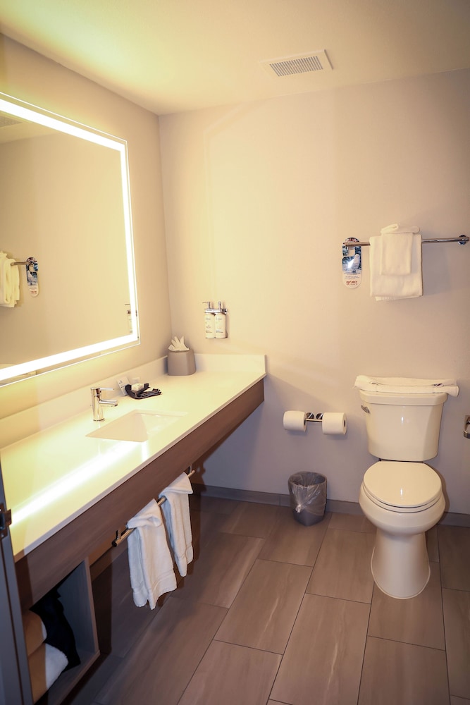 Holiday Inn Express Hotel & Suites Douglas by IHG - photo 26
