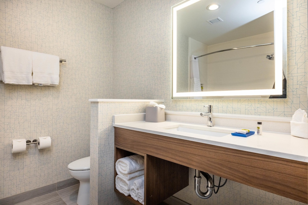 Holiday Inn Express & Suites San Jose Silicon Valley - photo 48