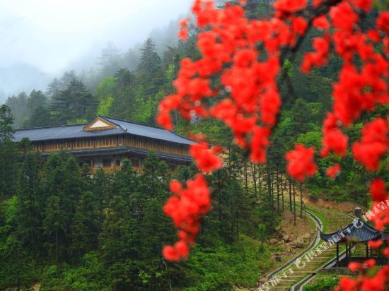 Wolongge Courtyard — hotel in Pingdu