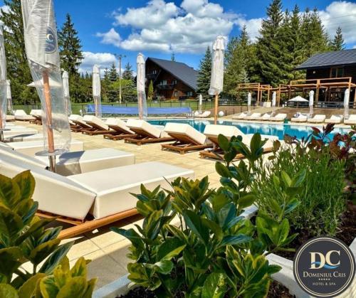 Pensiunea Cris — 5-Star Luxury Hotel in Vatra Dornei, Romania