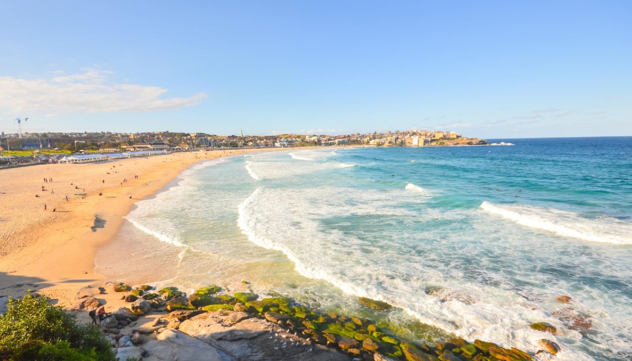 Bondi Beach Eco Garden — hotel in Bondi Beach