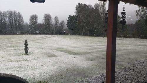 Entre Pinos Y Luceros Acogedora Cabaña Rústica — Villarrica — photo 3