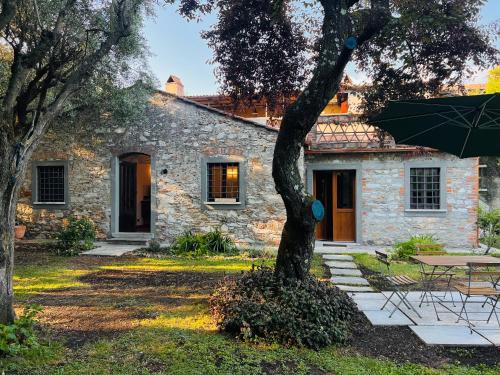 La Casina di Susy — Seravezza — photo 4