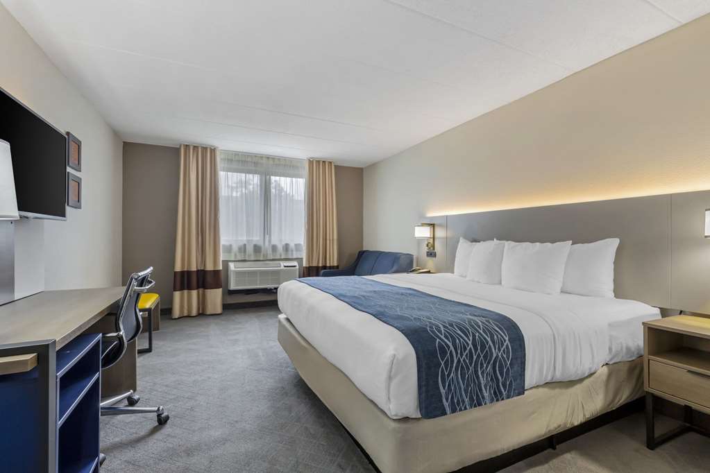 Comfort Inn Herndon Reston - photo 19