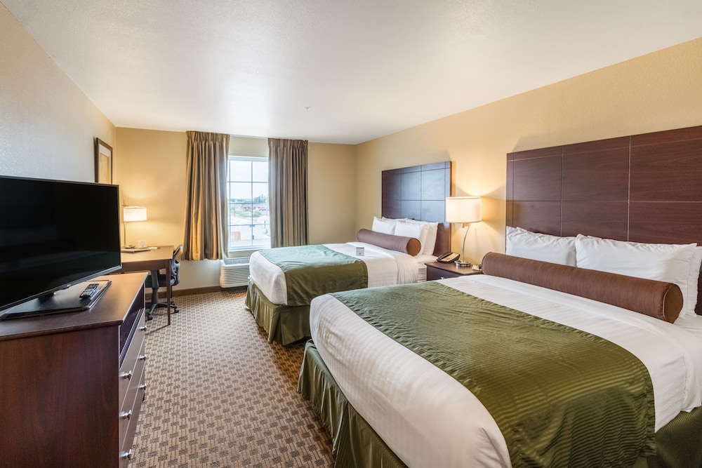 Cobblestone Hotel & Suites Pecos - photo 11