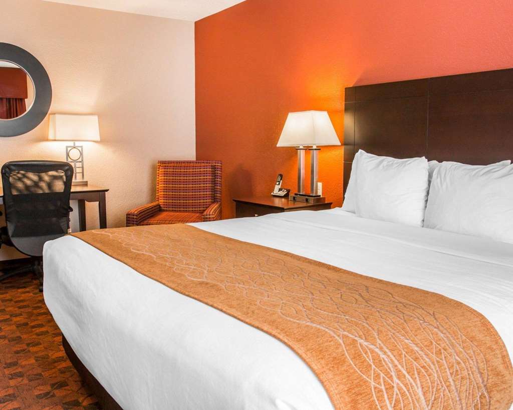 Comfort Inn & Suites and Conference Center - photo 16