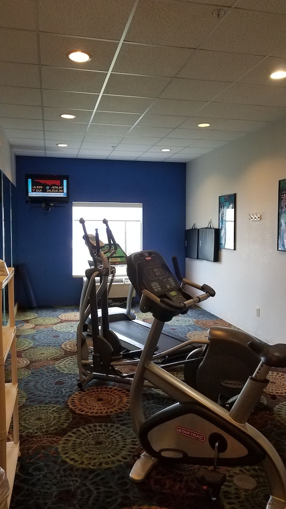 Holiday Inn Express Hotel & Suites Tampa Fairgrounds Casino by IHG - photo 32