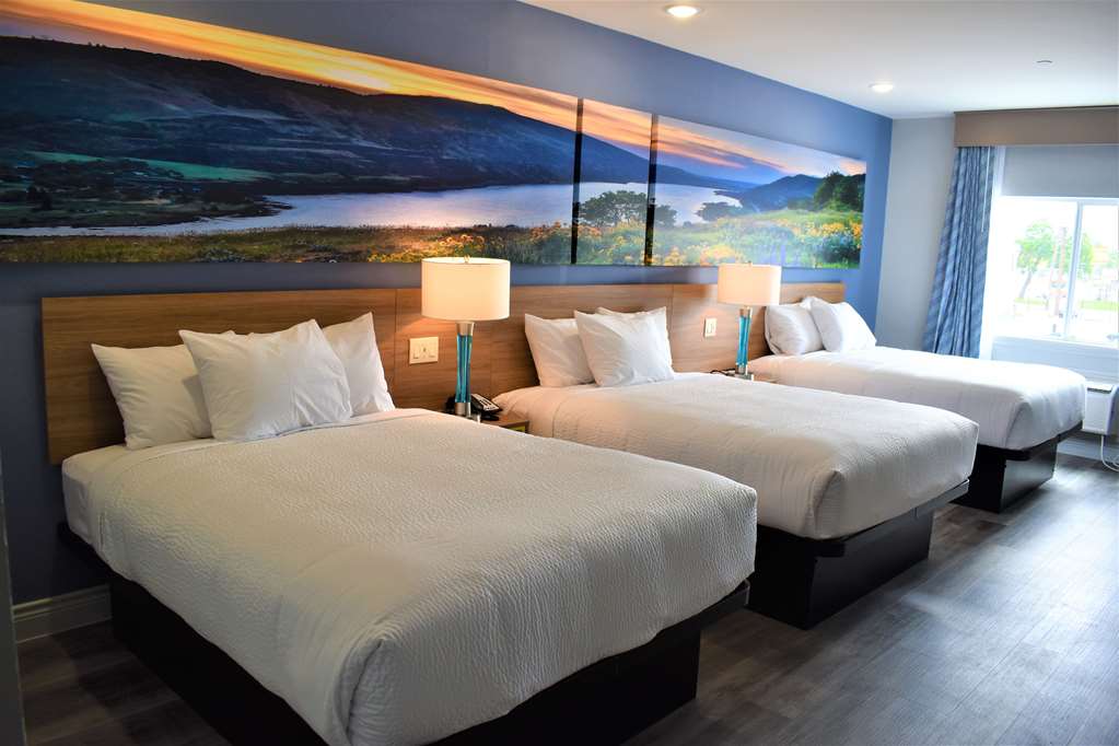 Days Inn & Suites by Wyndham Downtown University of Houston - photo 10