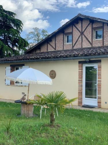 Aux 40 Écus Gingko - last minute hotel in Unknown City