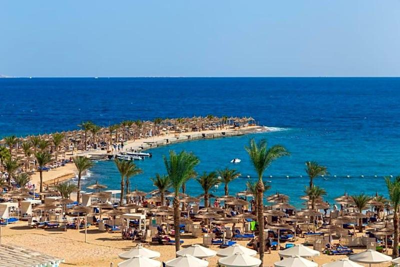 Beach Albatros The Club Aqua Park in Hurghada, Egypt