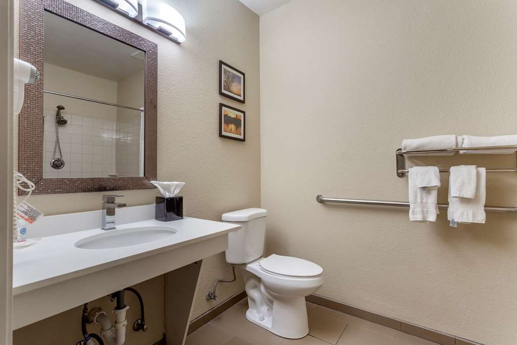 Comfort Inn Rockford near Casino District - photo 27