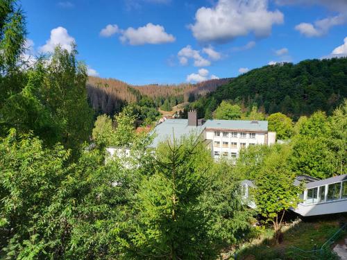 Werrapark Aktiv Hotel Am Sommerberg — hotel in Masserberg