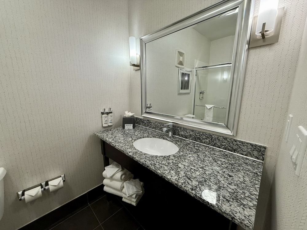 Holiday Inn Carlsbad by IHG - photo 26