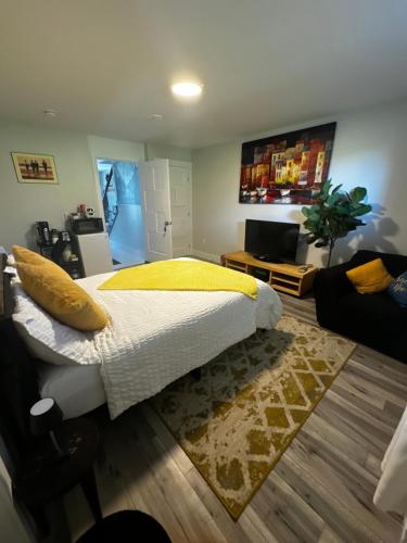 Stay With Precious in Halifax, Canada