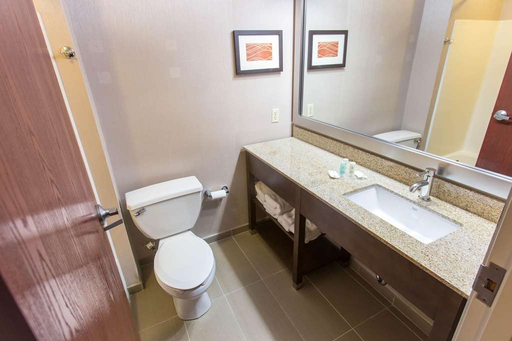 Comfort Inn Pittsburgh Crafton - photo 16