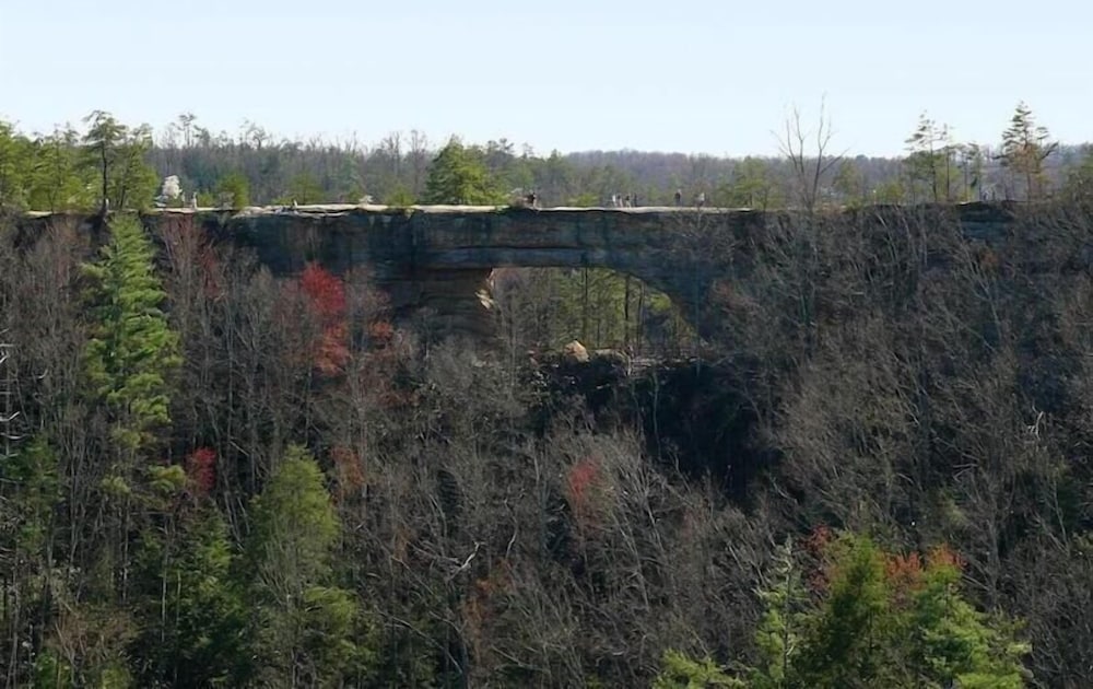 Big South Fork Trail Lodge - photo 26
