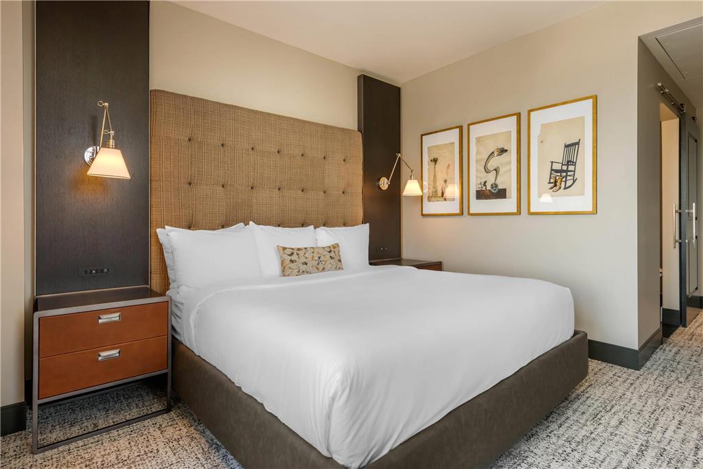 Cambria Hotel Houston Downtown Convention Center - photo 24