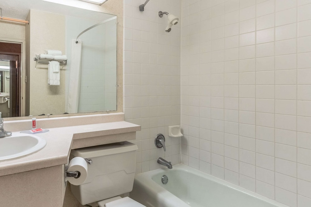 Econo Lodge Brainerd - photo 18